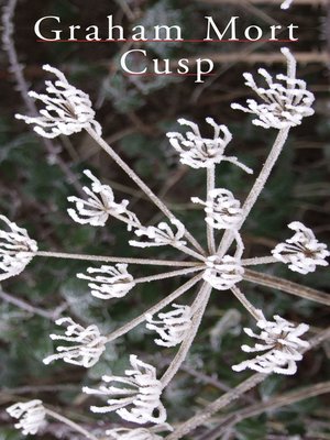 cover image of Cusp